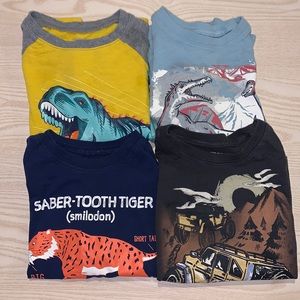 Boys Carters long sleeve T-shirt lot size 5